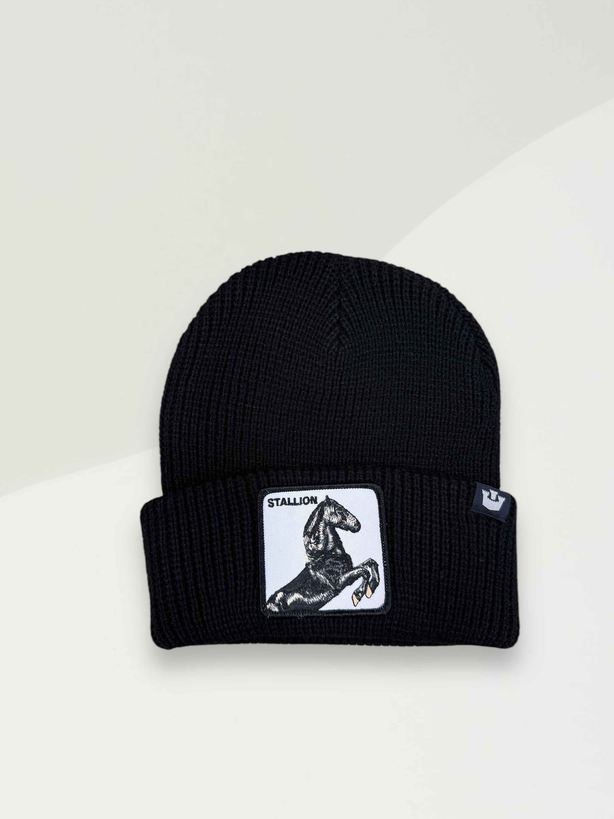 Cuffia stallion GOORIN BROS