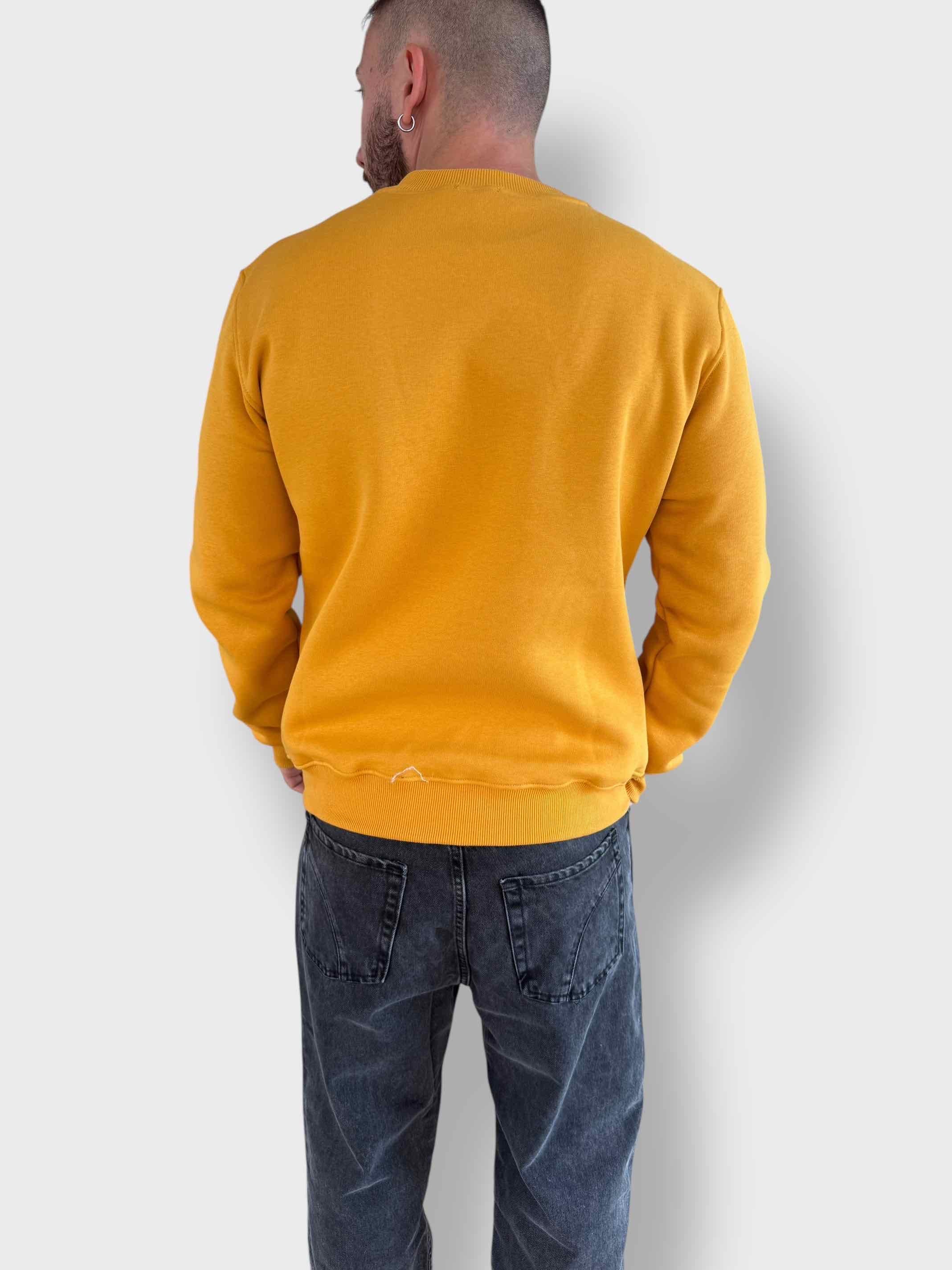 Felpa girocollo triangolo 029 BERNA