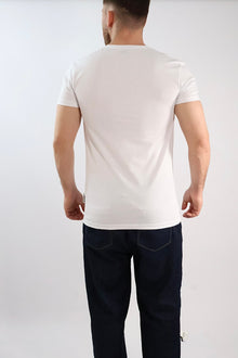 T-shirt dritta basic logo 062 BERNA