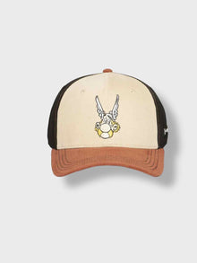 CAPSLAB Asterix