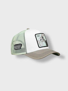 CAPSLAB looney tunes