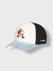 CAPSLAB Obelix